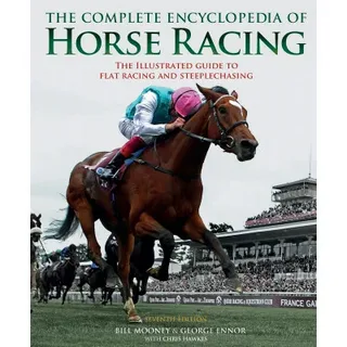 Top Horse Racing Betting Sites Ranked by User Experience