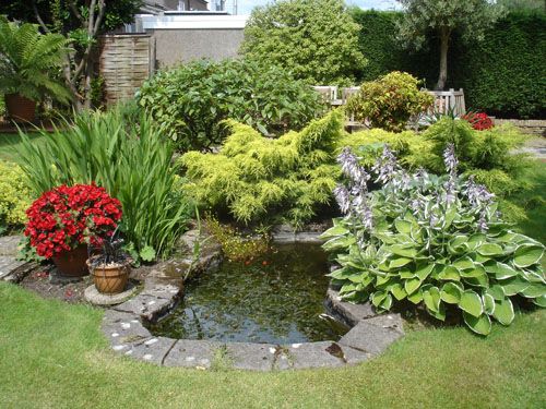 Keep Your Sussex Garden Pond Clear and Healthy