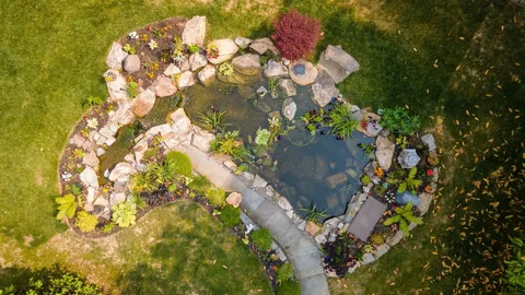 Reliable Expert Pond Care Services in Essex